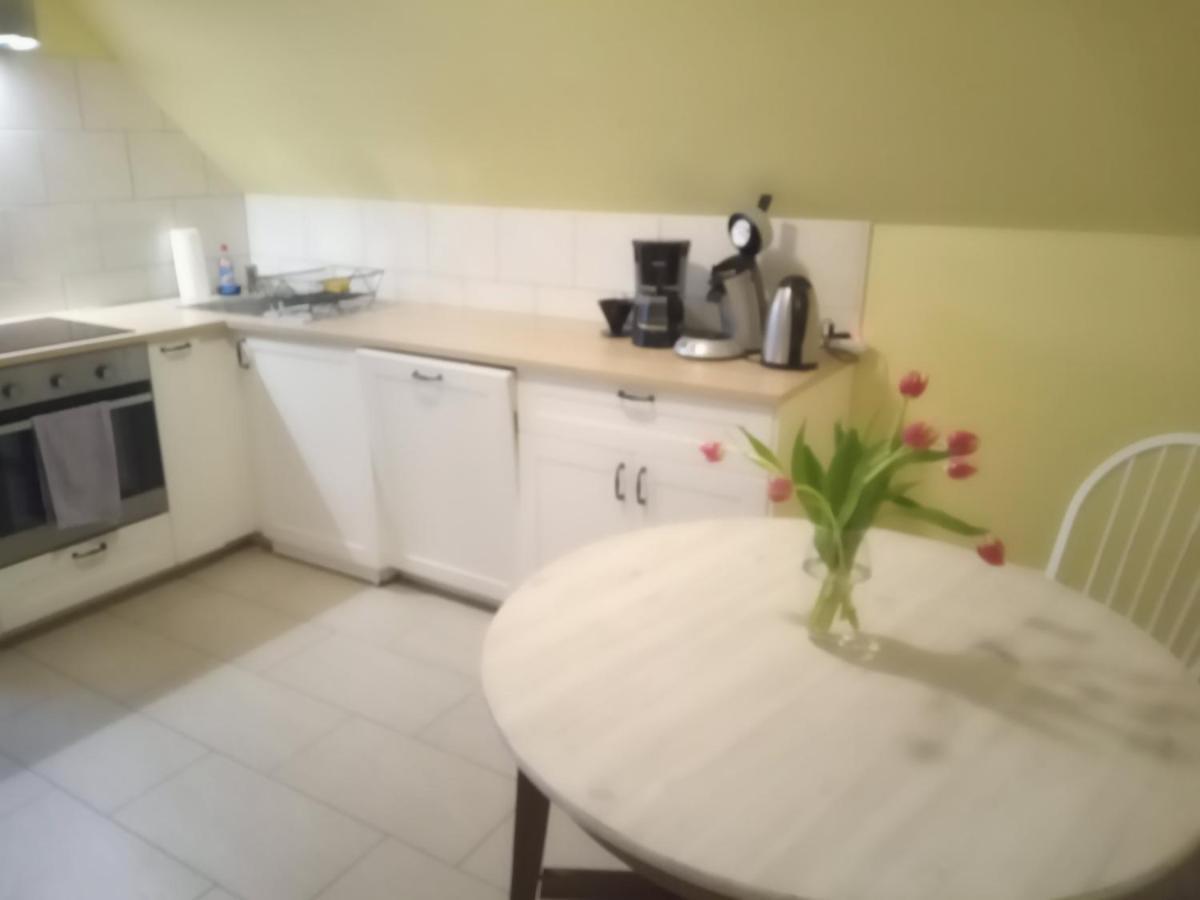Strandrose Friedrichskoog Zewnętrze zdjęcie